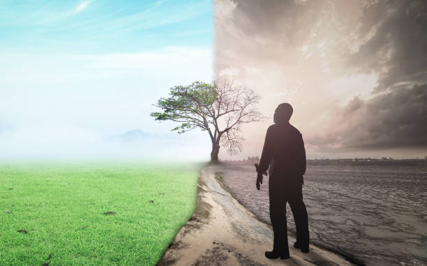 Plant-Based Beauty: Reaping the Benefits of Nature's Bounty