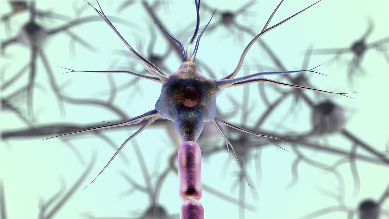 Rewiring Your Brain: The Power of Neuroplasticity in Health and Wellness