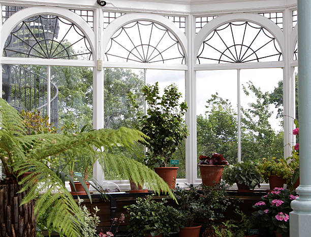 "Reviving the Charm of Victorian Sunrooms: A Modern Approach"