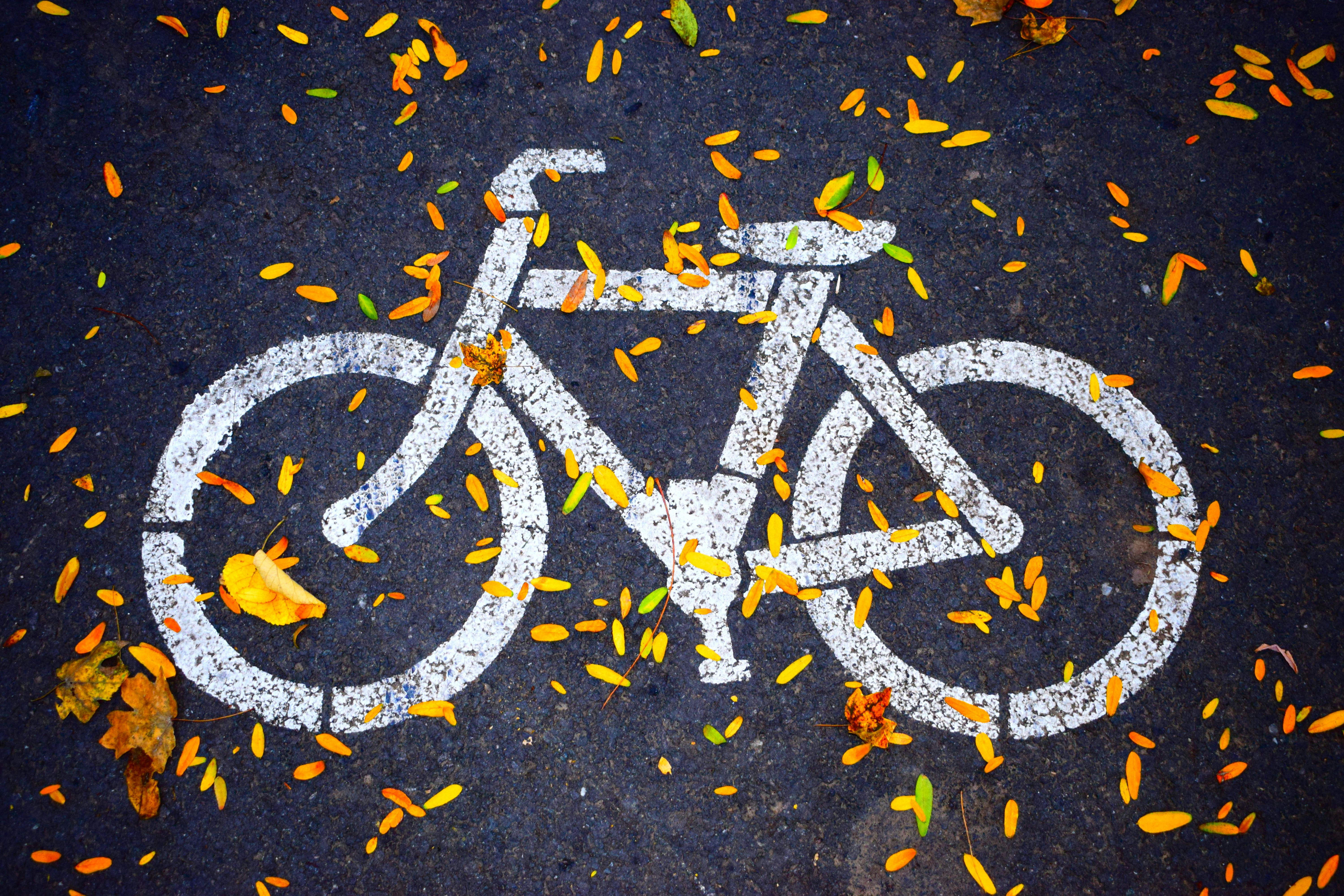 Transforming Journeys with Bicycle Tourism: An In-depth Exploration