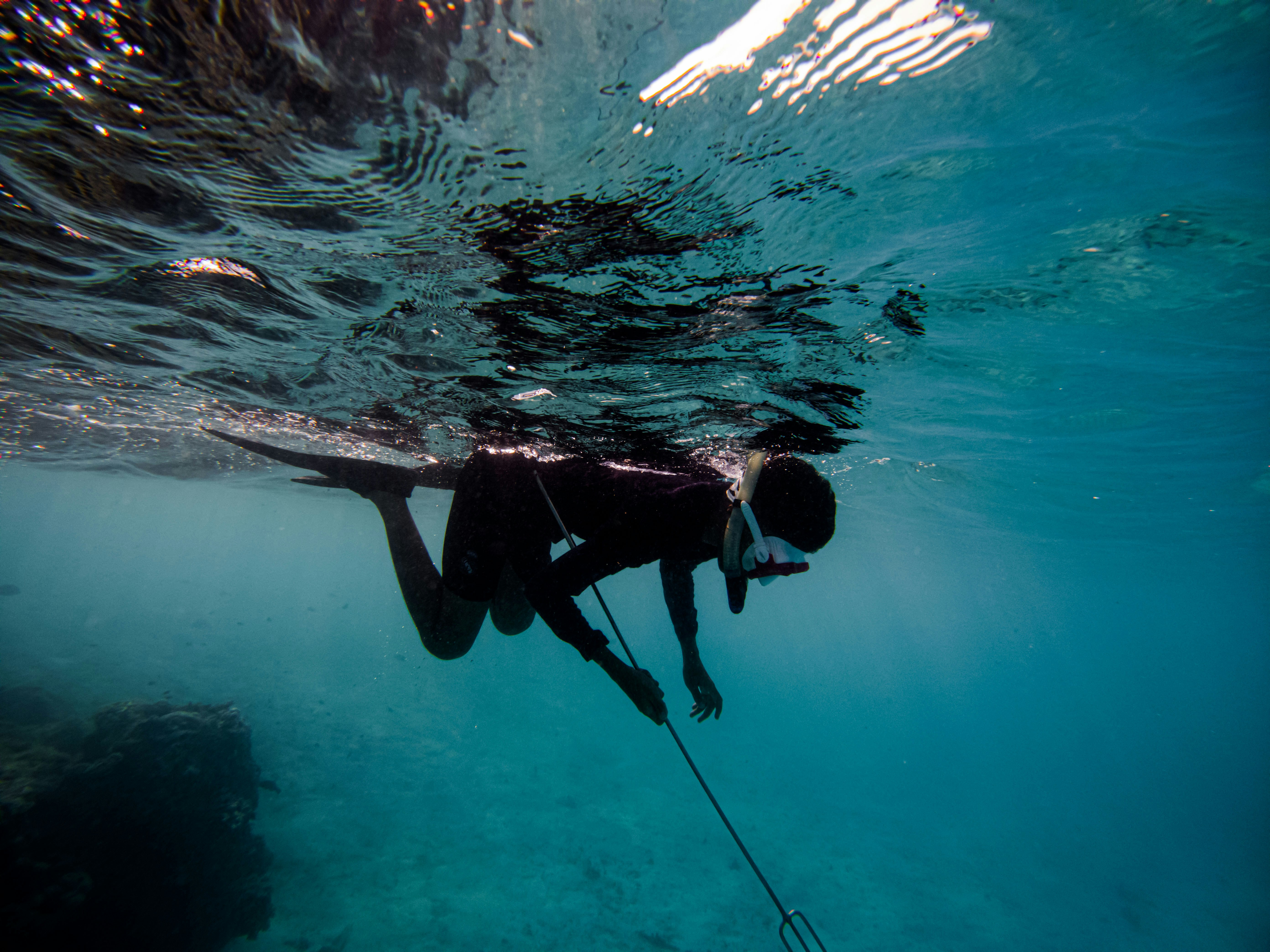 Elevating Fitness with Spearfishing: A Deep Dive into this Neglected Sport
