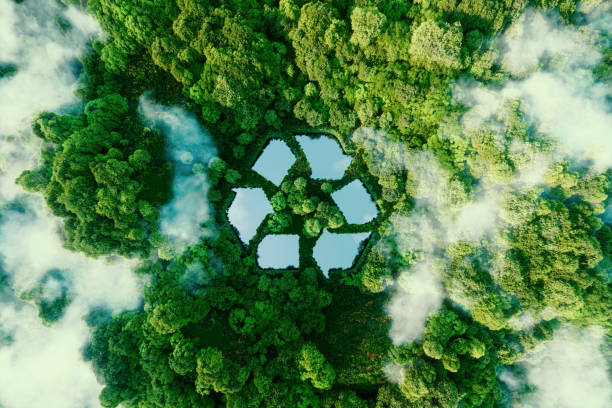Zero-Waste Beauty: A Sustainable Revolution in the Beauty and Fitness Space