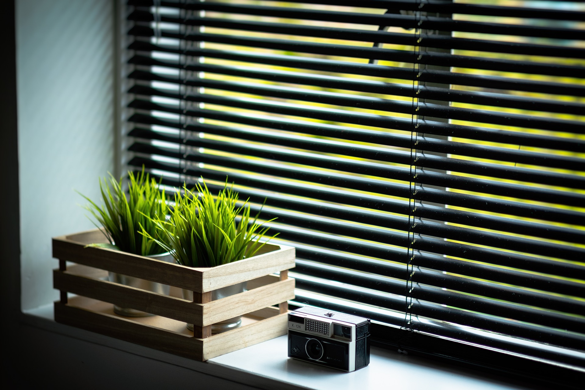 Sophisticated Shade: Adapting Your Home and Garden for Low Light