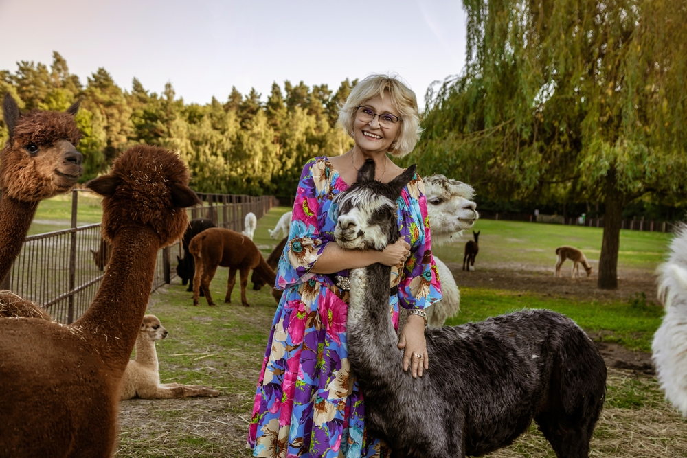 Unveiling the World of Therapy Alpacas: A Companion Beyond the Ordinary