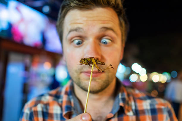 Decoding the Fascinating World of Edible Insects: A Sustainable Food Trend