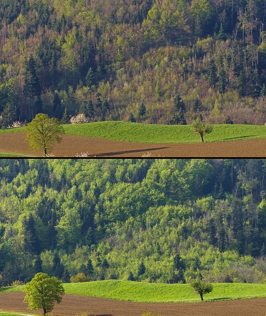 CO2 Rechner: Der intelligente Weg zur Emissionsreduktion