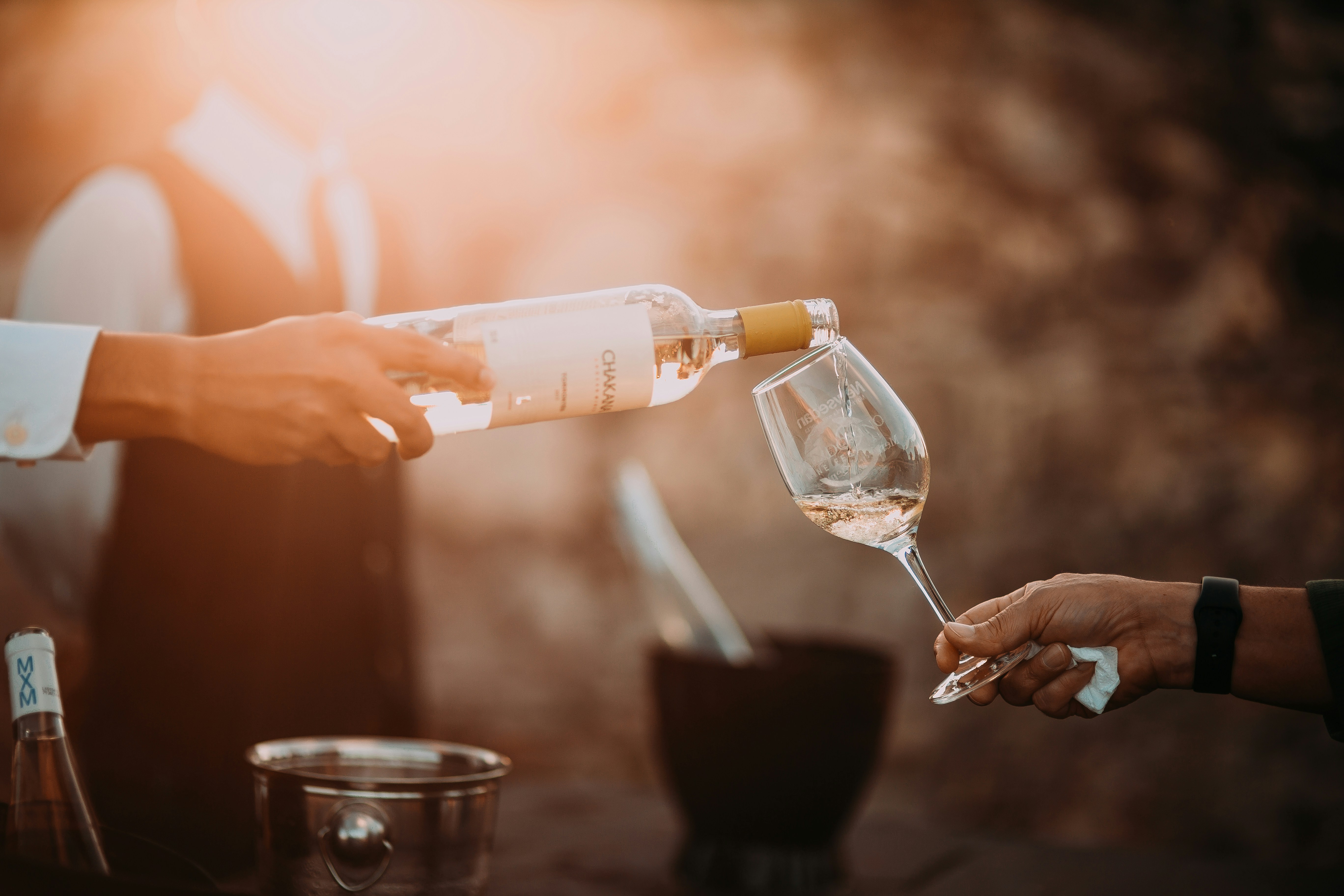 A Dive into the World of Exotic Fruit Wine