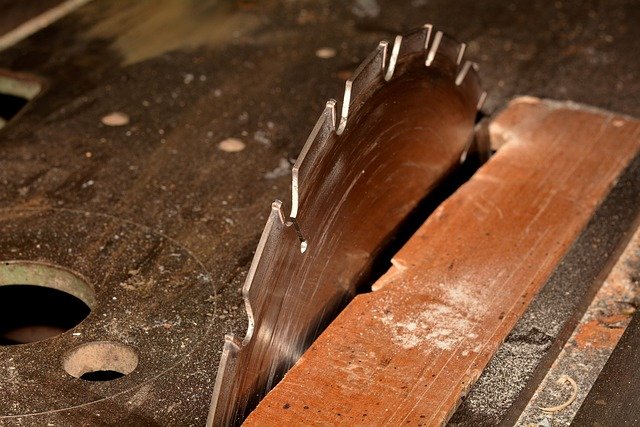 Explore How Portable Sawmill Services Work and Who They’re For