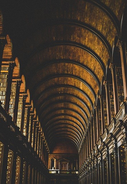 Crafting Your Perfect College Application Journey