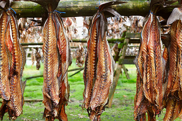 Discovering the Unique Flavors of Icelandic Cuisine