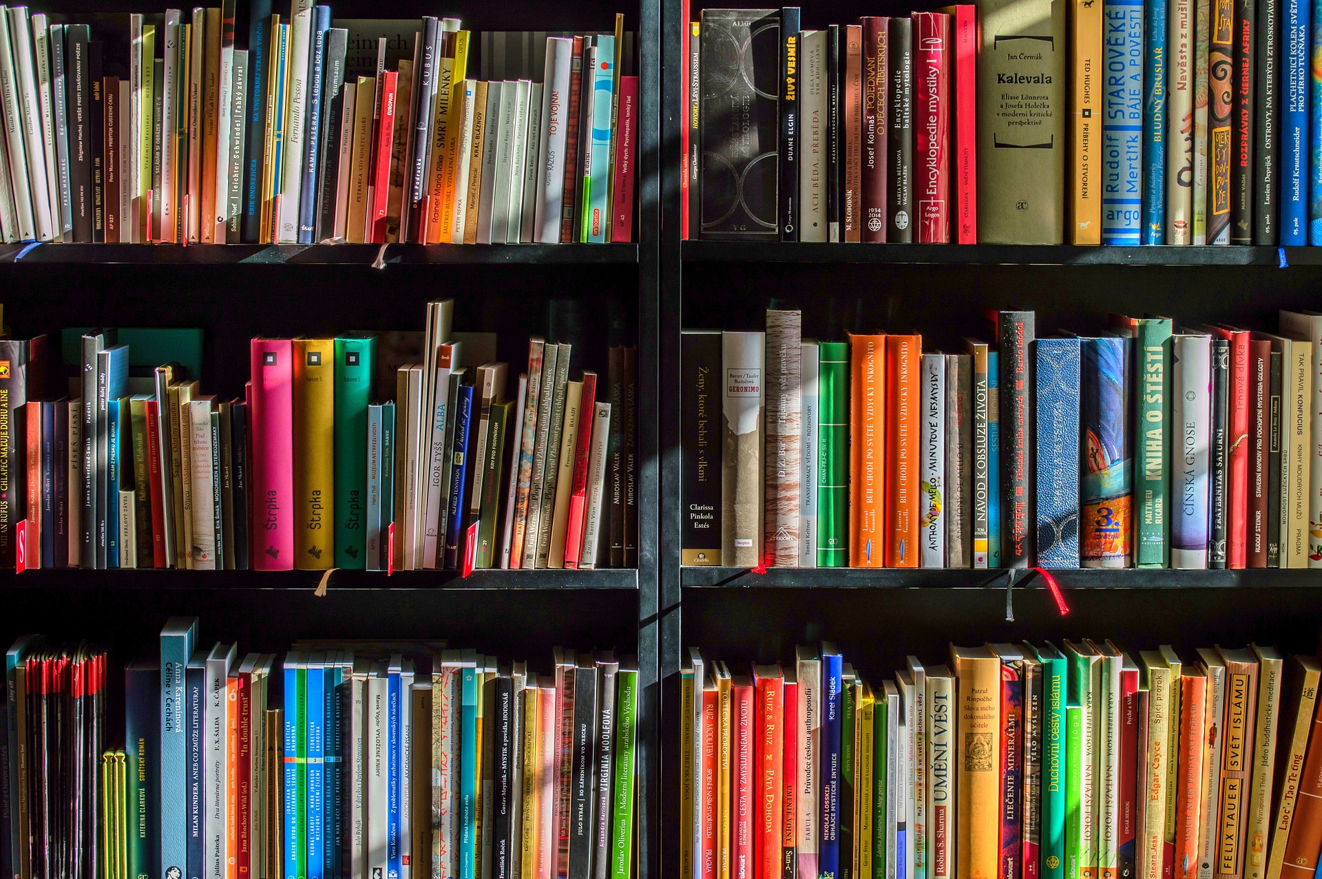 The Revitalization on Local Bookstores and Bonds They Forge in Communities