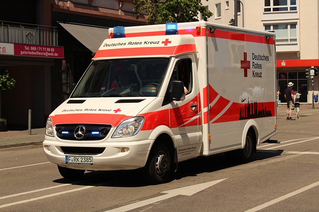 Formación en servicios médicos de emergencia: guía práctica