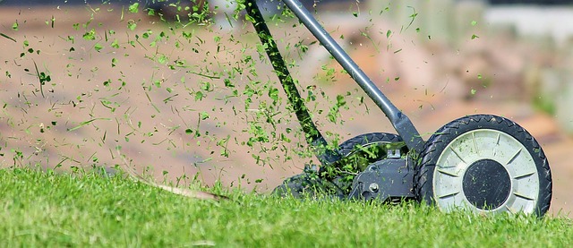 Comprehensive Guide to Professional Tree Services: Care, Trimming, and Cost Considerations