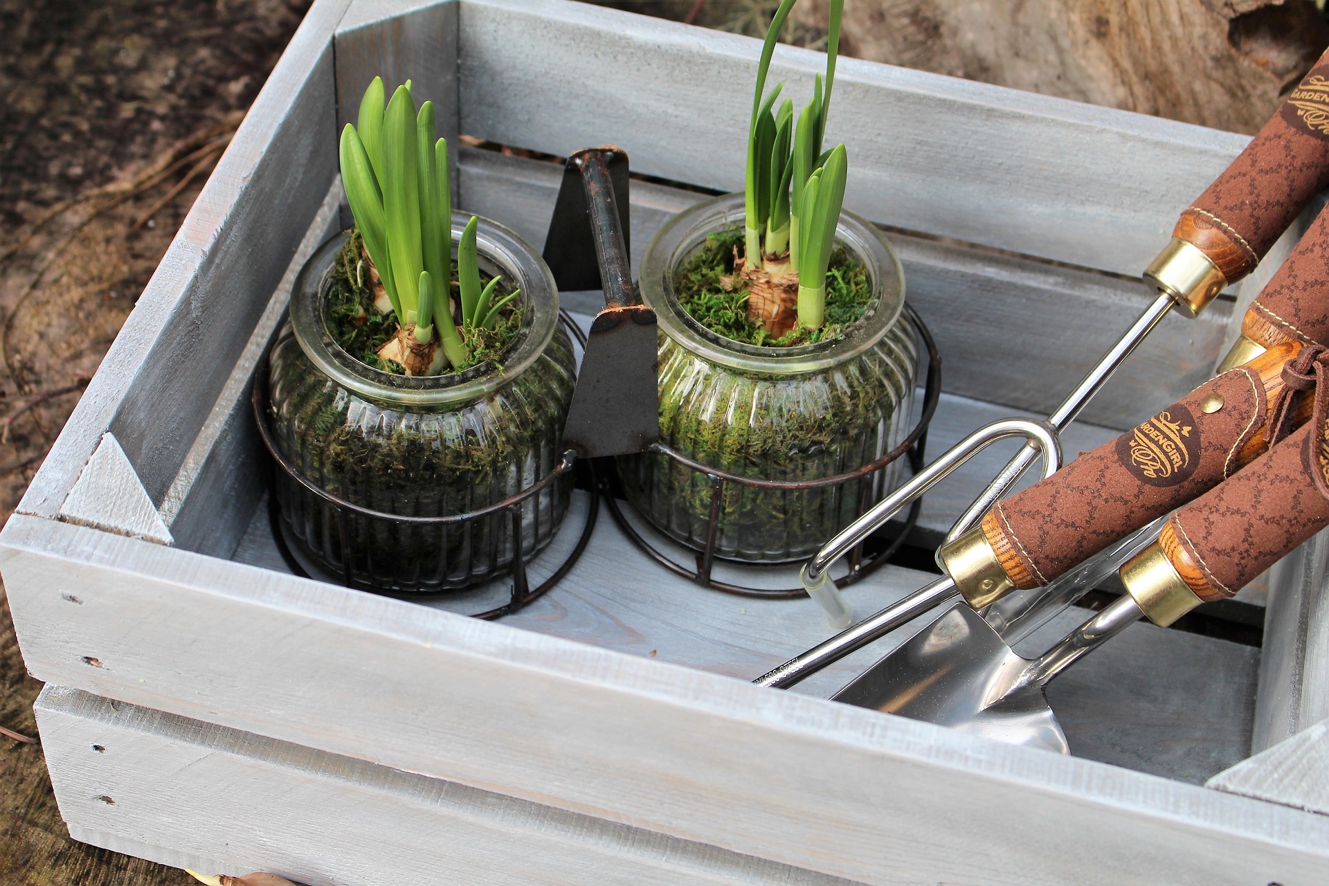 Drought-Tolerant Landscaping: Sustainable and Stylish Yards