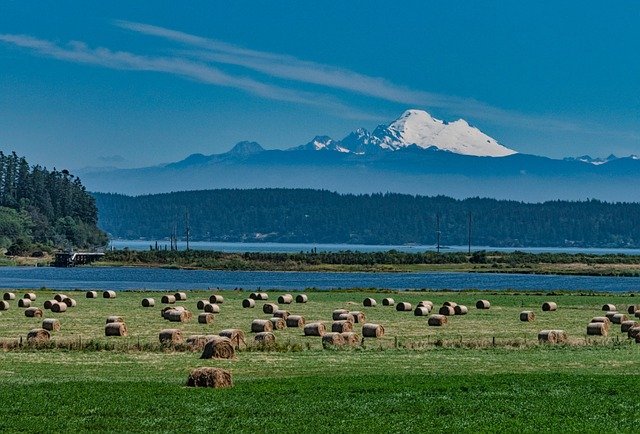 Grundstücke und landwirtschaftliche Flächen in der Schweiz kaufen