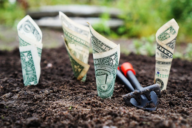 Impulsione seus Lucros com uma Conta Financeira Forex
