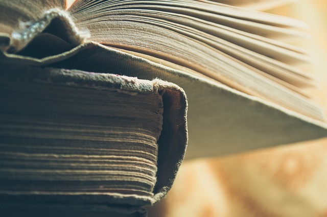 Goedkope Vluchten Boeken: Jouw Gids voor Ongelooflijke Aanbiedingen