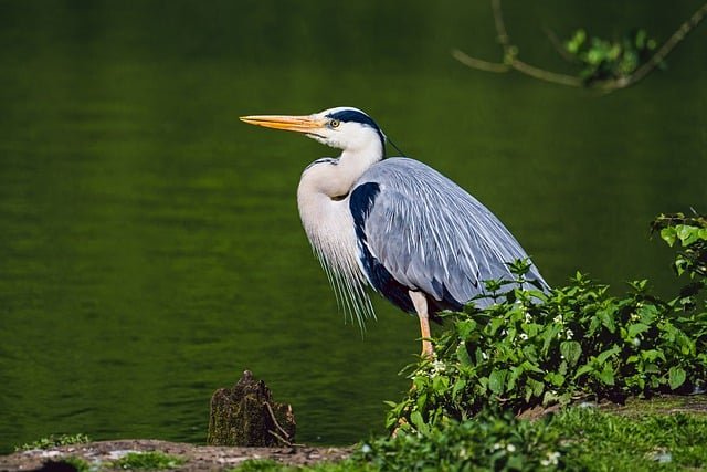 New Jersey State Parks Senior Pass Guide