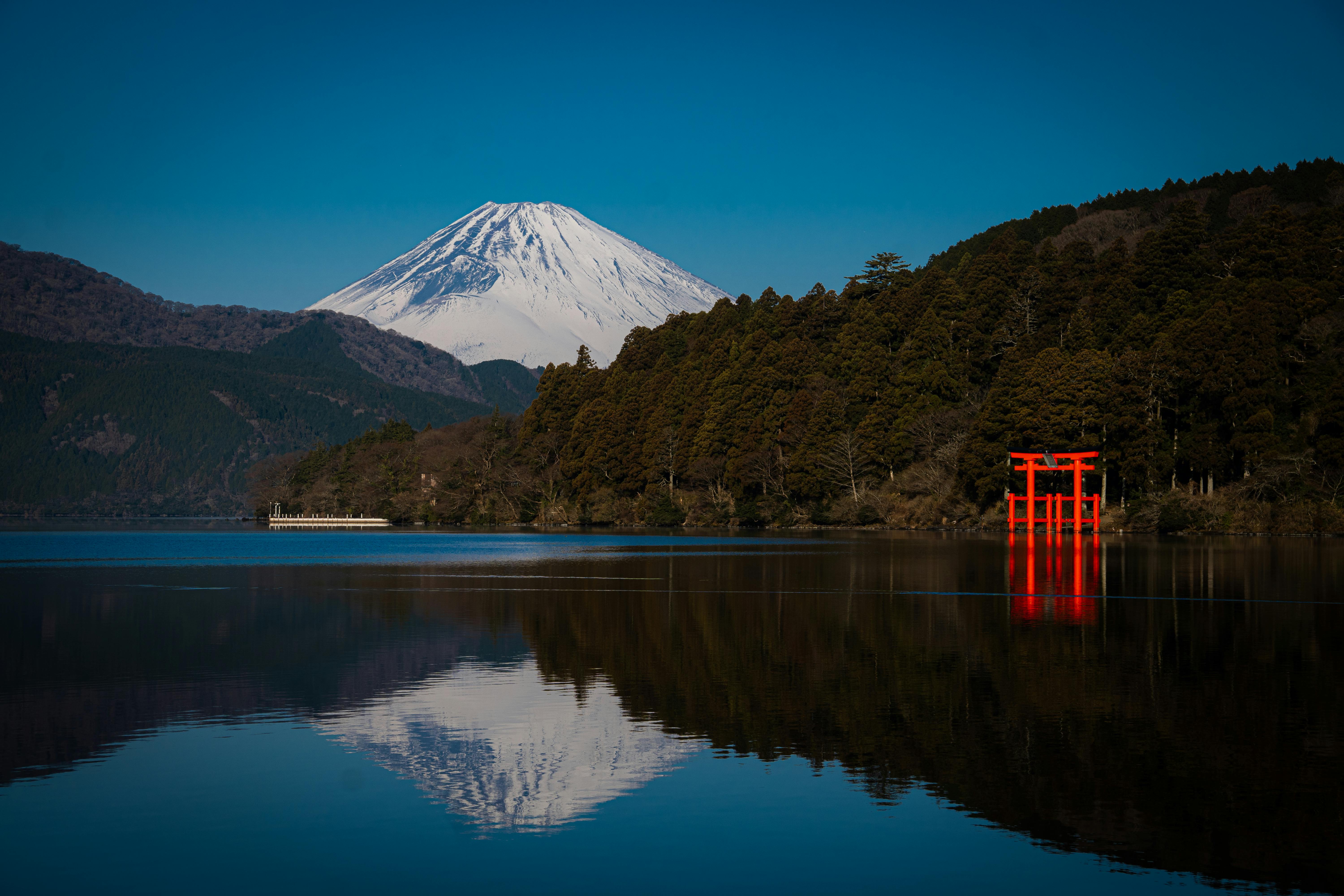 The Whispers of Forest Bathing: Japan's Secret to Wellness Travel