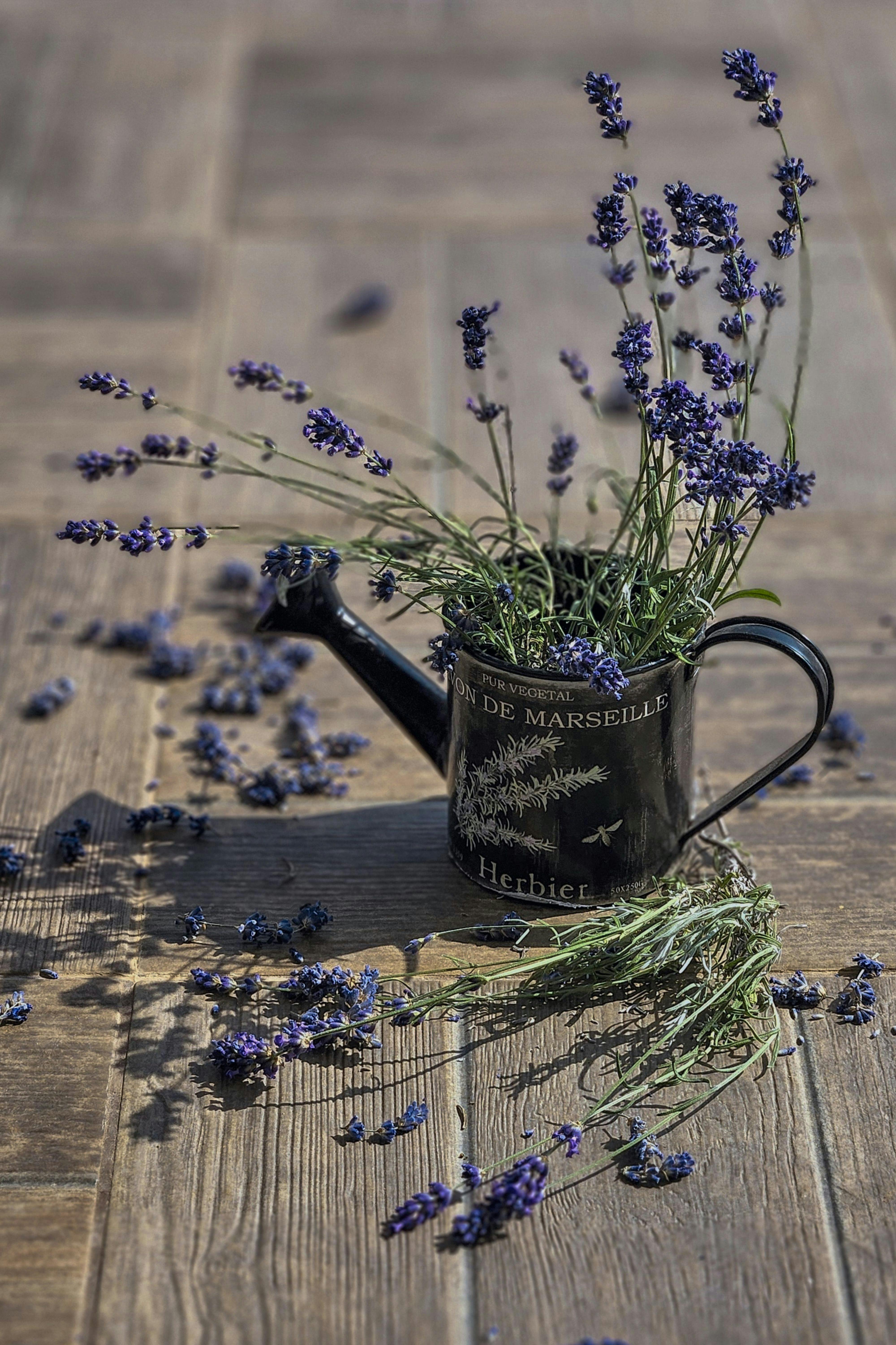 The Resurgence of Cottagecore: A Nostalgic Escape in Home Design