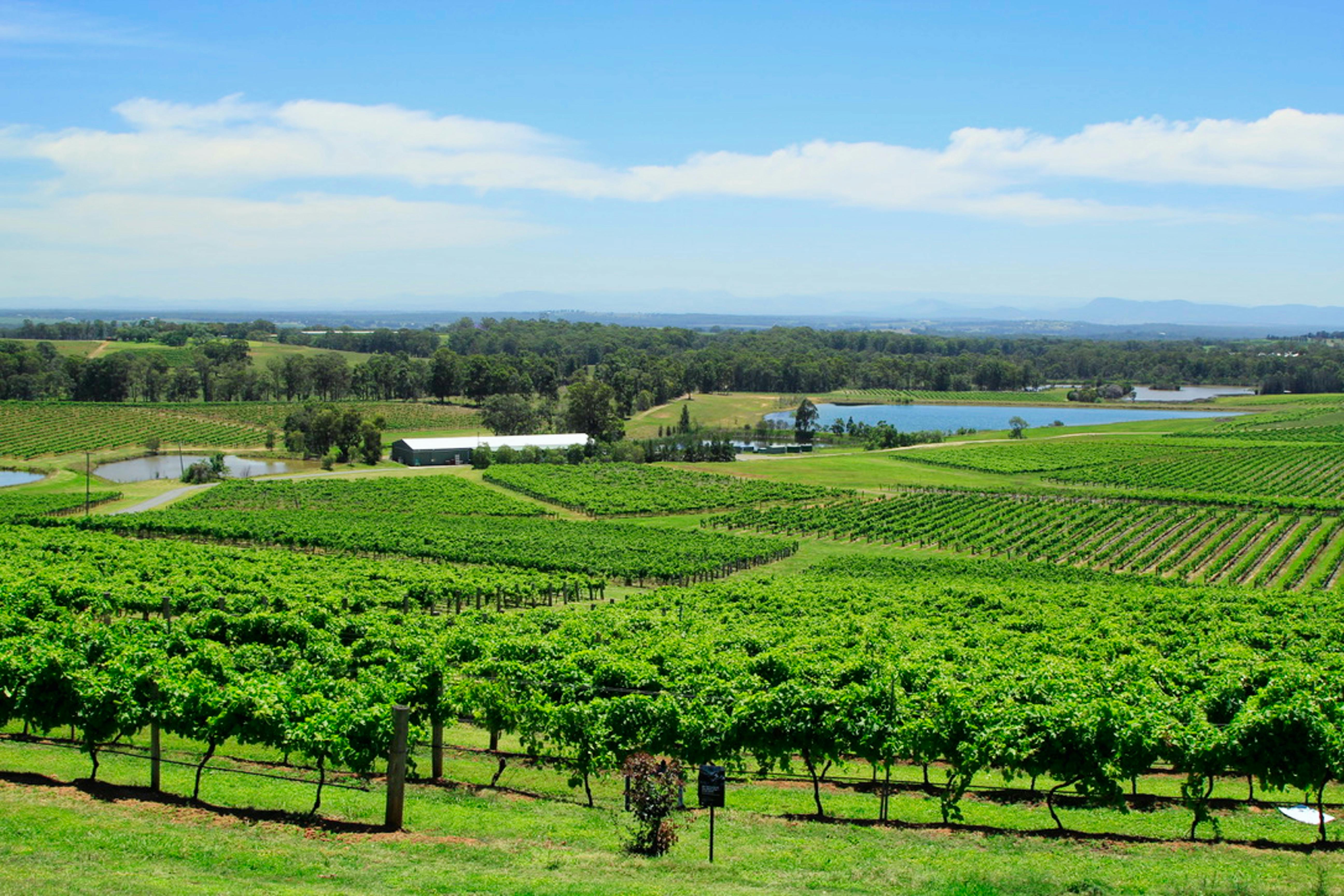 Unveiling the Charm of Agritourism: A Fresh Perspective on Travel & Transportation