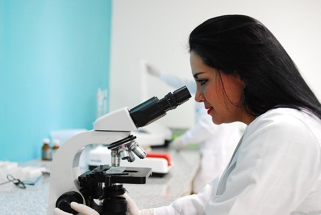 Entry Level Jobs en ciencia: guía práctica para aspirantes