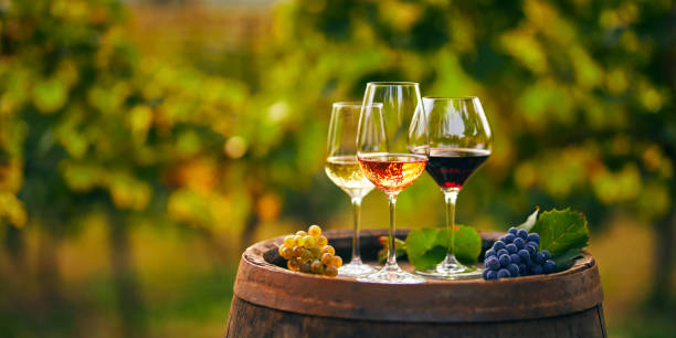 Savouring the Complexity: The Art of Wine Pairing with Global Cuisines