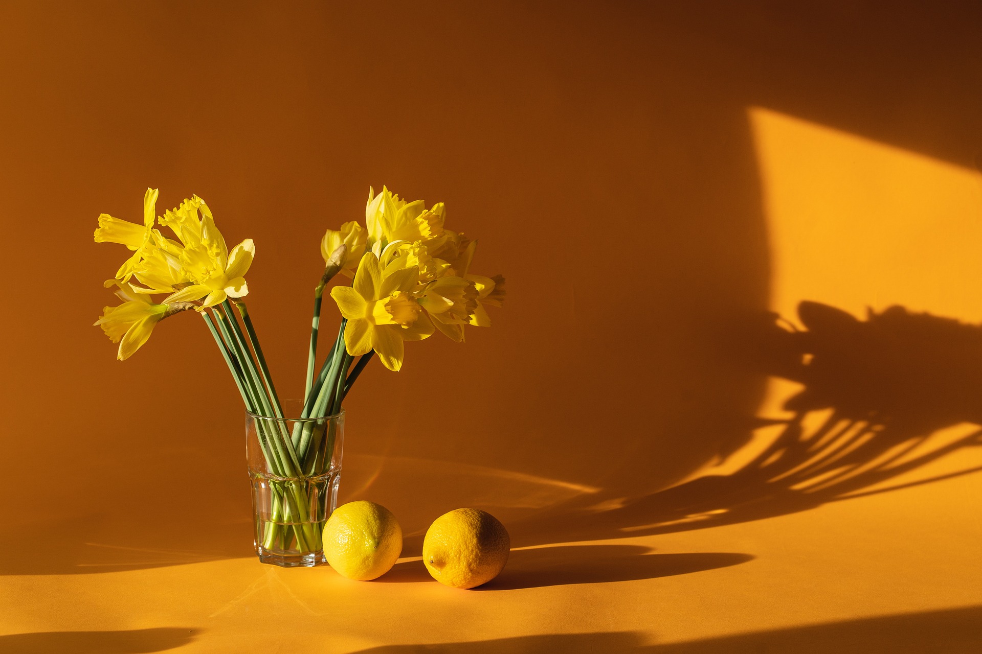 Embrace the Wabi-Sabi: Welcoming Imperfection in Home Decor