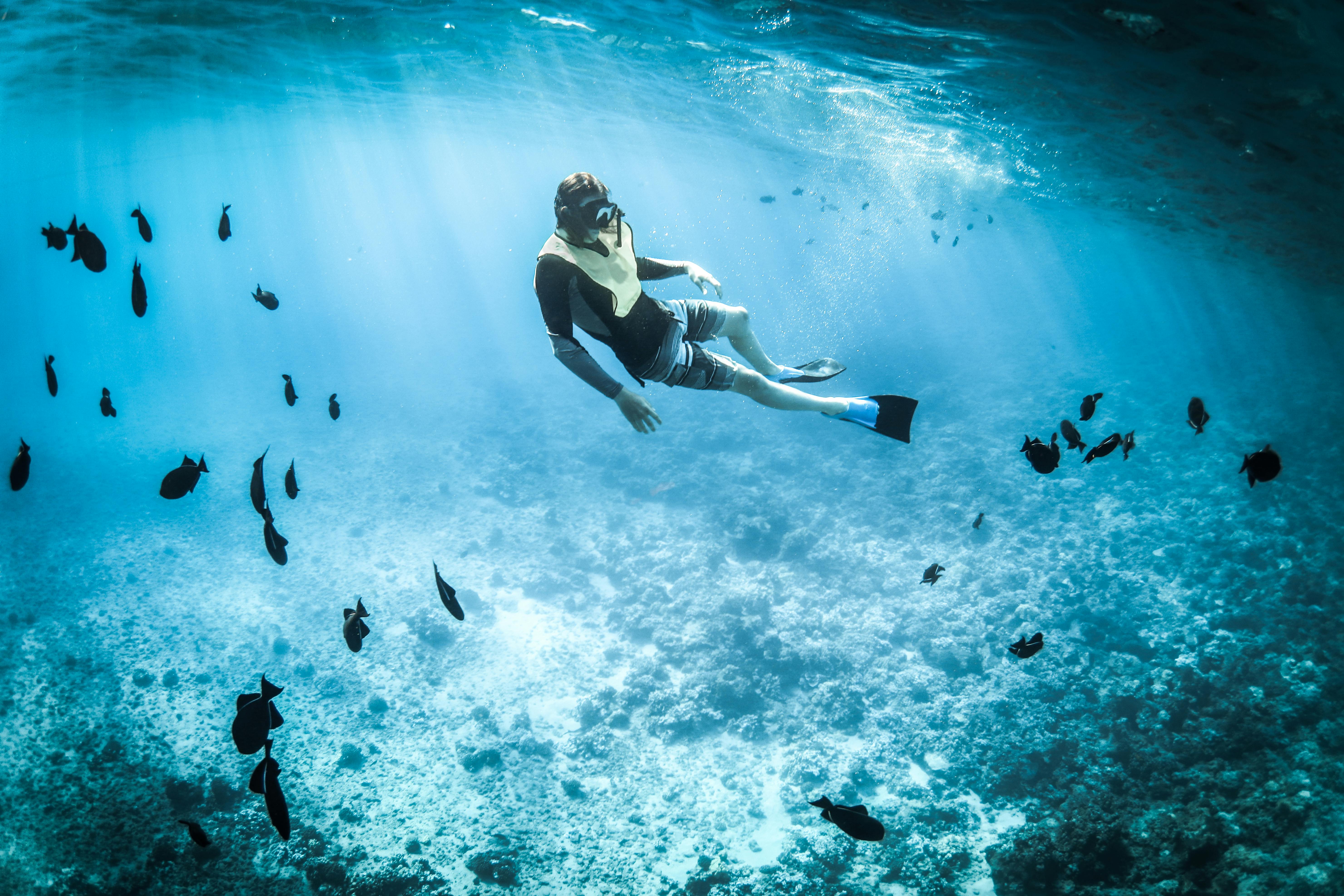 Diving into the Depths: Subnautica's Influence on Survival Gaming