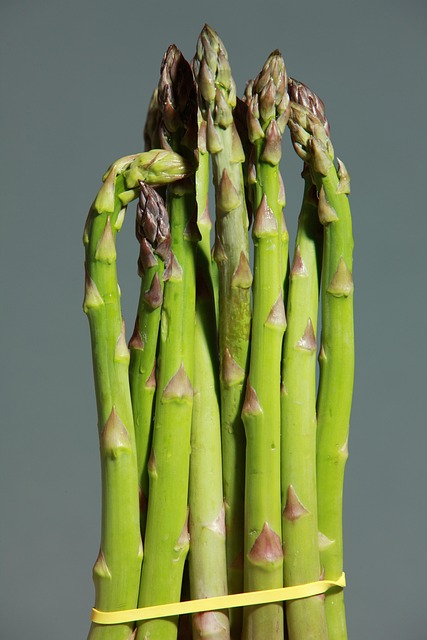 Fresh Food: A Journey to Flavor and Wellness