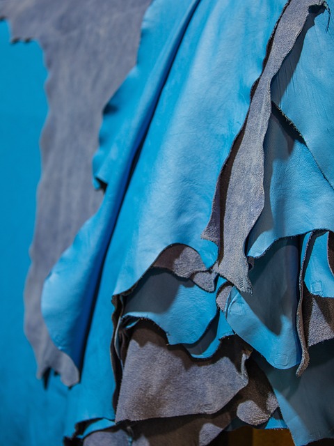 Fashion Degree: Curriculum, Skills, and Career Paths