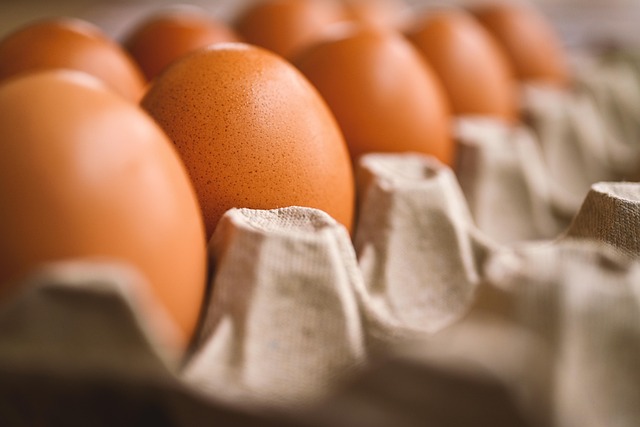 Découverte du Supplément Alimentaire : Guide Complet