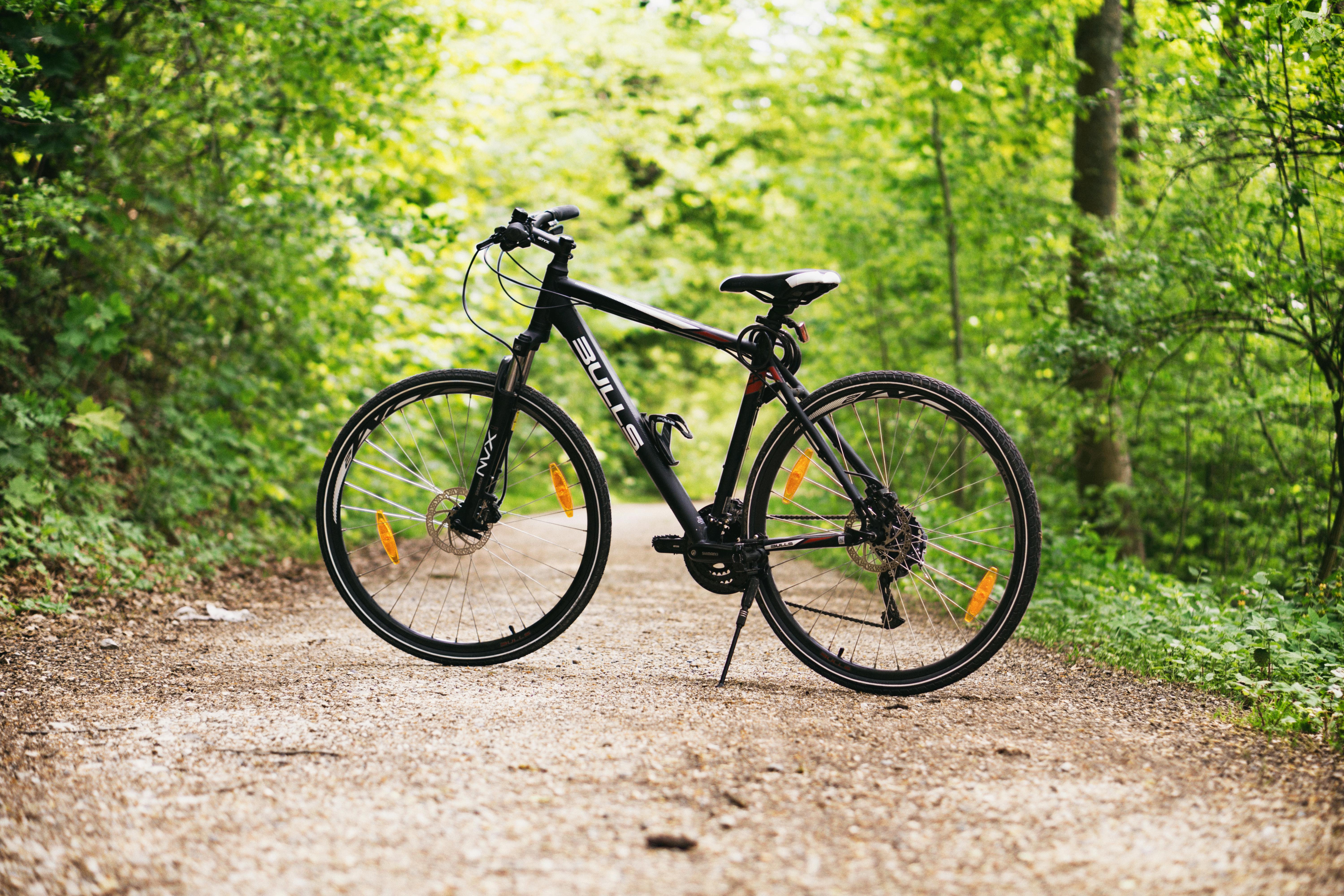 Unveiling the Charm of Pedal-Powered Journeys: The Rise of Bicycle Tourism