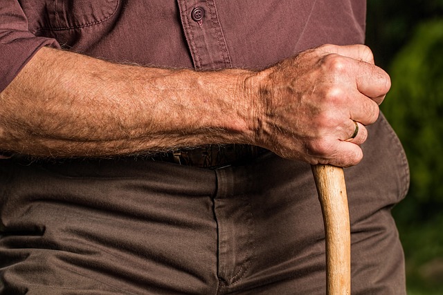 Comprehensive Guide to Retirement Plan Services