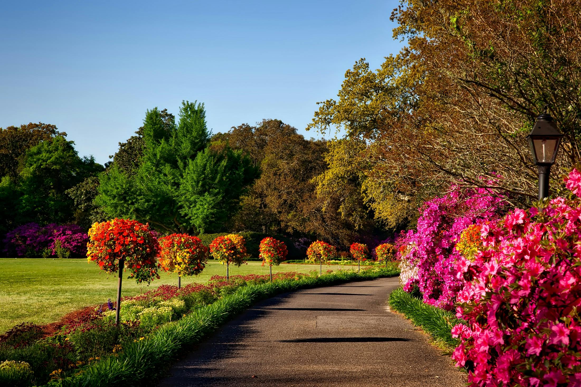 Unraveling the Health Promoting Potential of Green Spaces