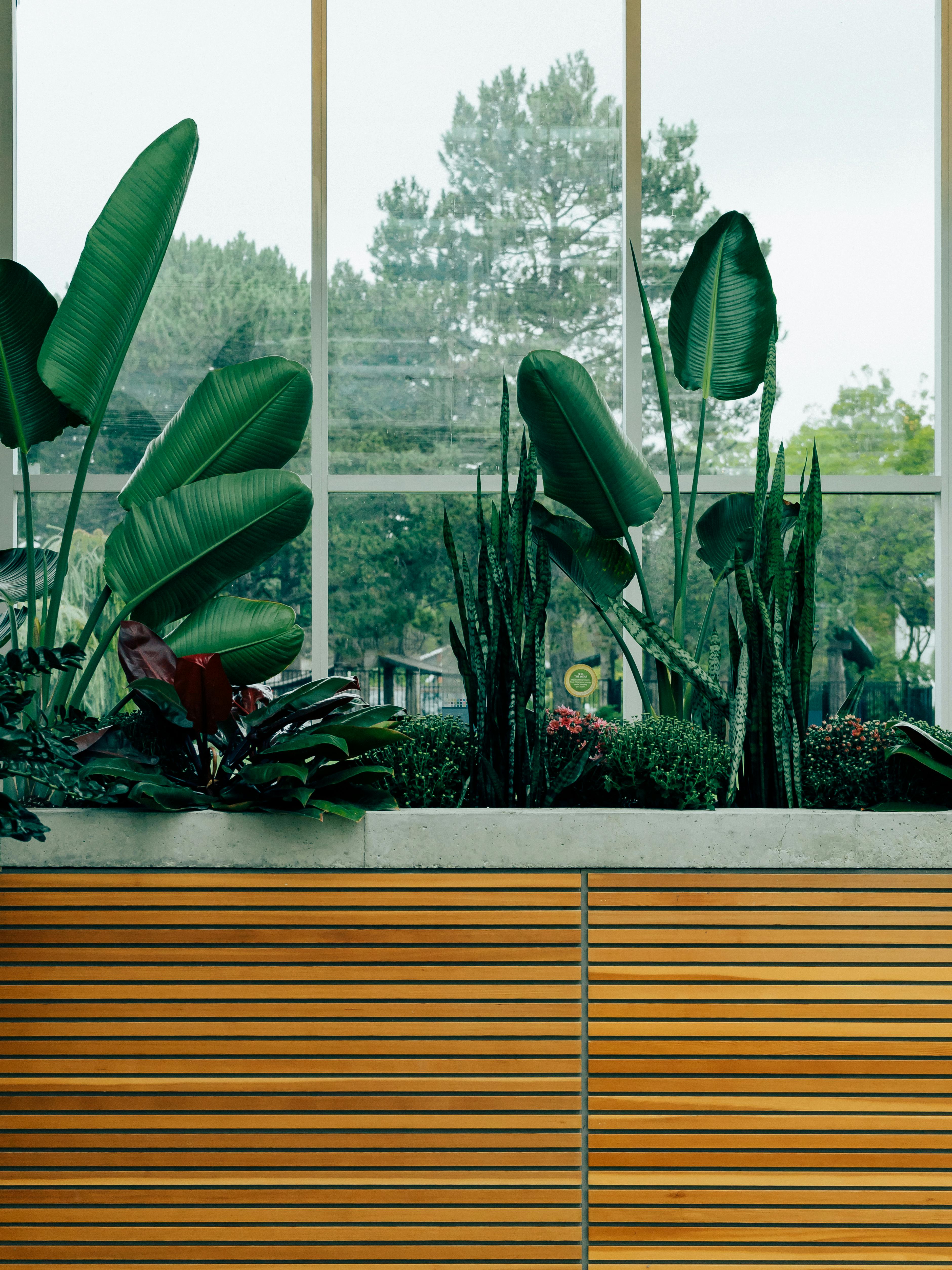 Biophilic Design: Incorporating Nature into Urban Residences