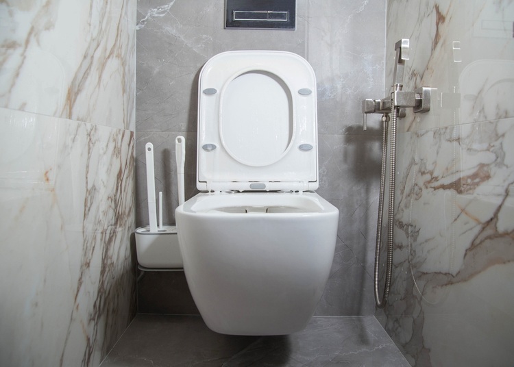 Inodoros con bidé integrado en España 2026
