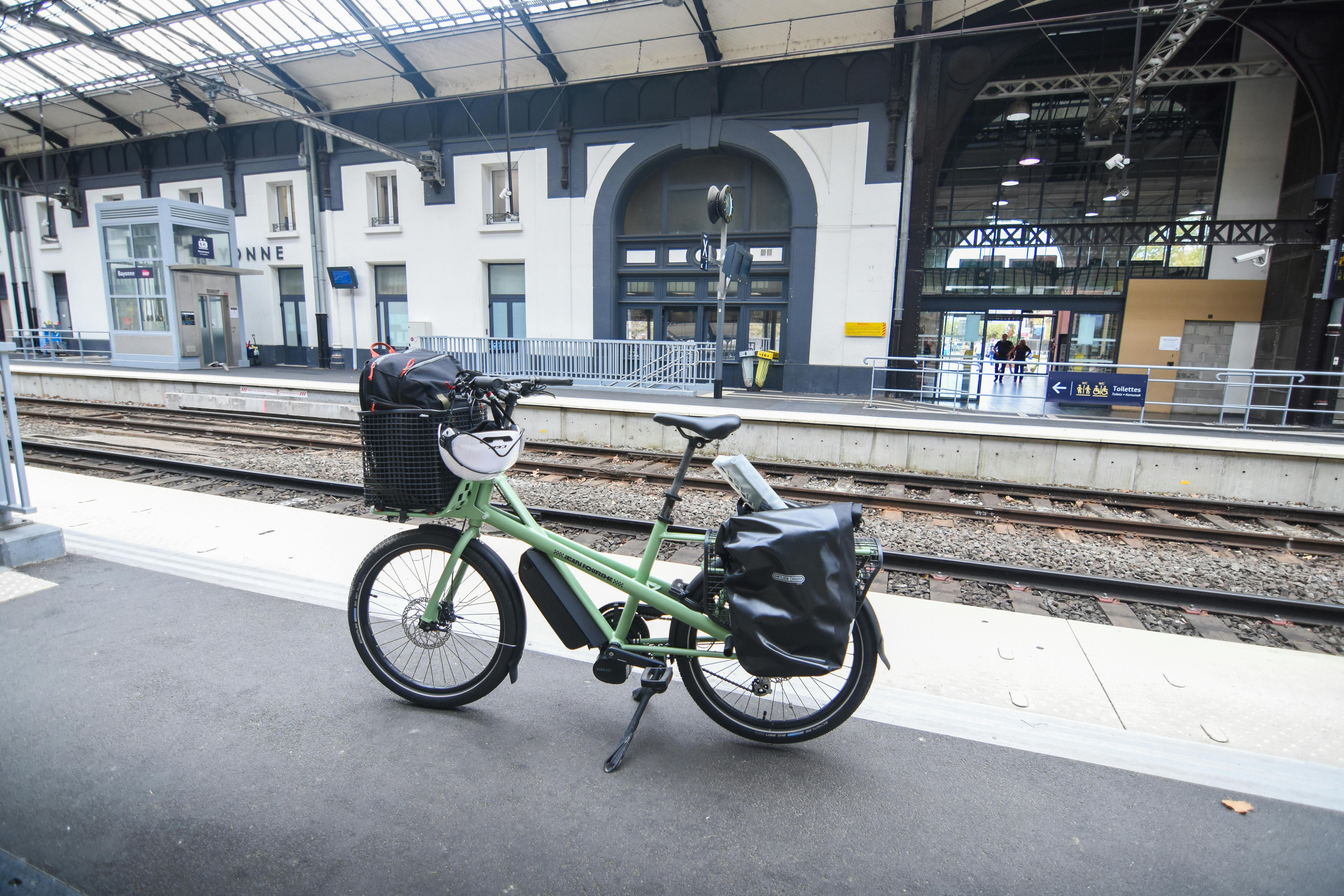 Unveiling the Charm of Pedal Power: Cycling Vacations are Catching On