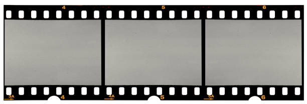 The Resurgence of Analog Photography in the Digital Age