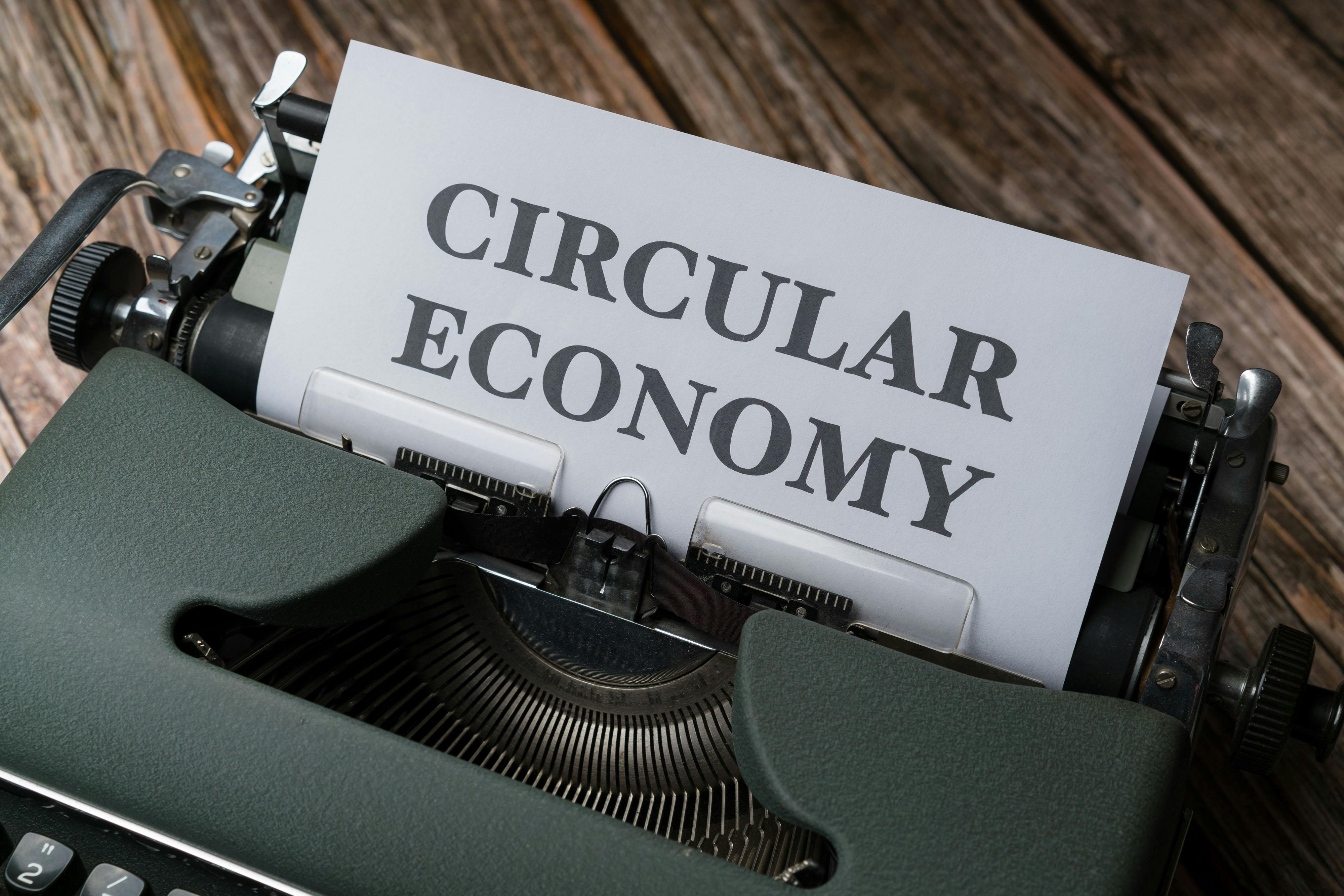 The Growth of Circular Economy in Retail Sectors