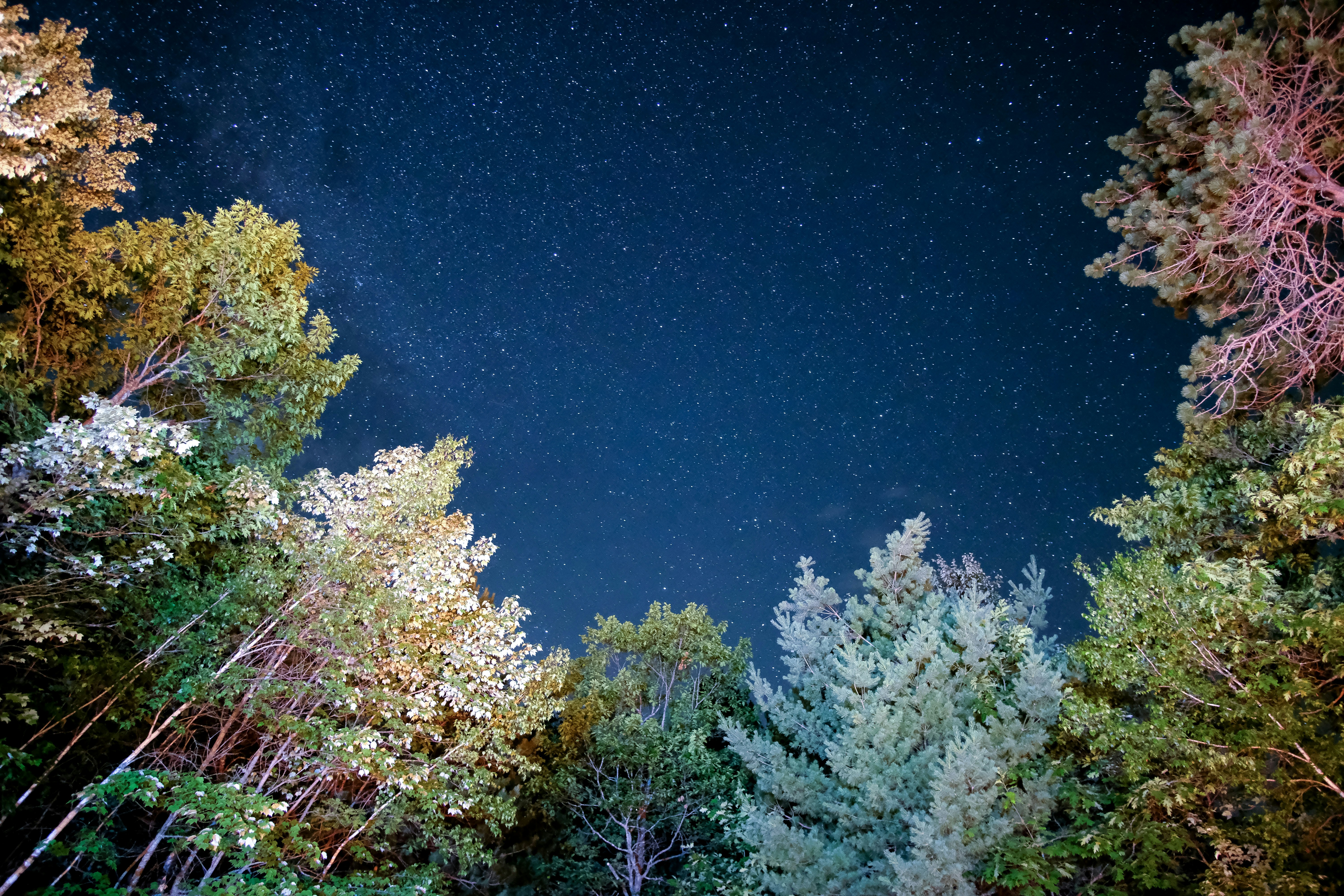 Reimagine your Wellness Journey: The Potentials of Nighttime Fasting