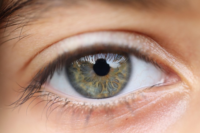 The Importance of Early Eye Care