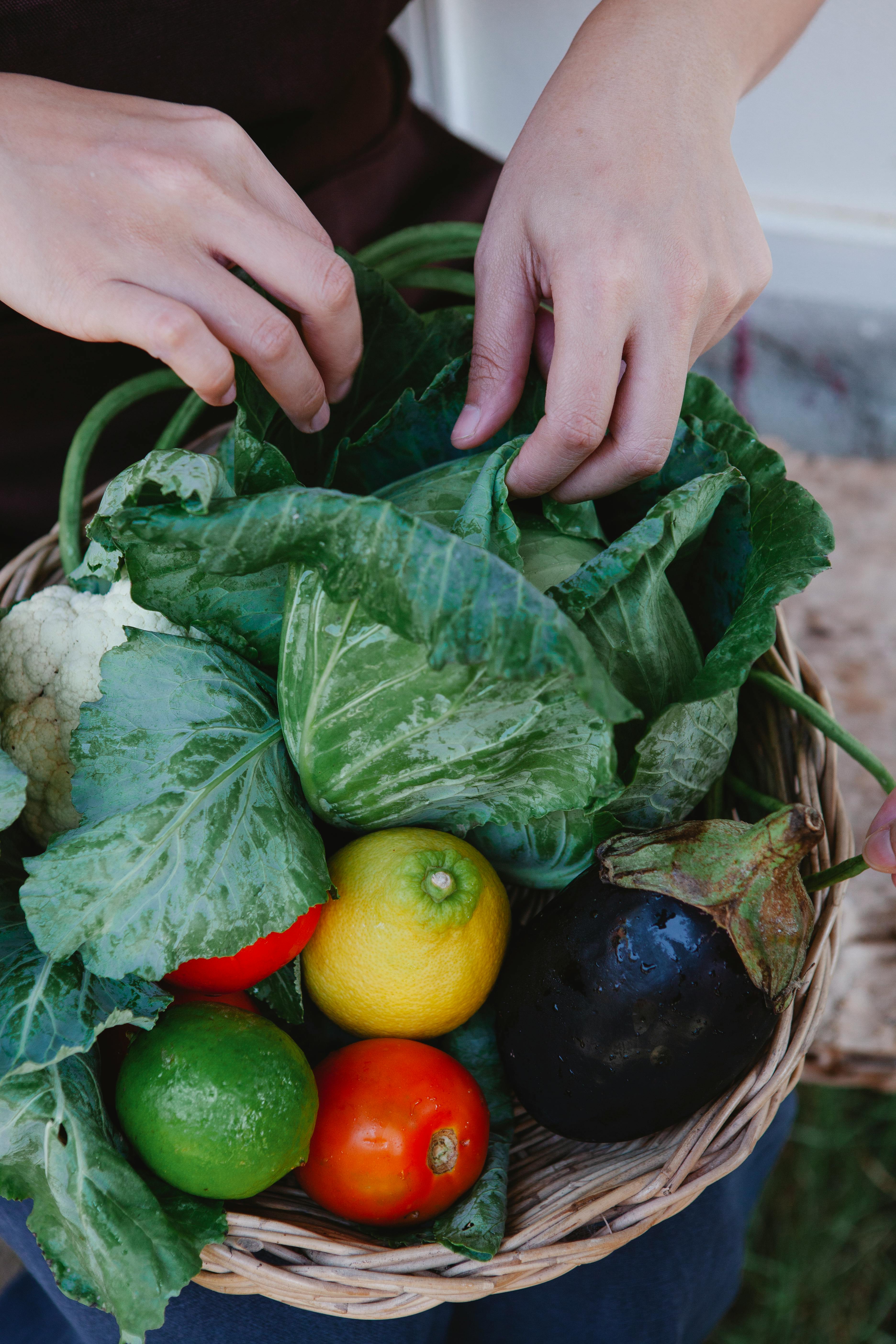 The Unseen Power of Vitamin K2: Bridging the Gap Between Nutrition and Health