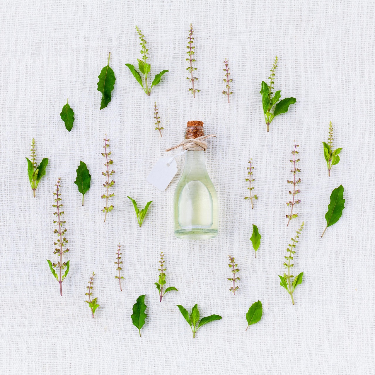 Unraveling the Healing Power of Aromatherapy: A Deep Dive into its Origins, Benefits, and Scientific Credibility