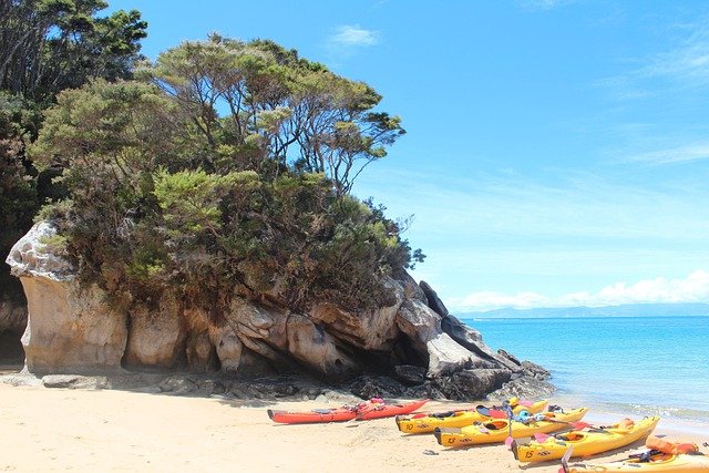 Estratégias Para Encontrar Peixes em Águas Rasas