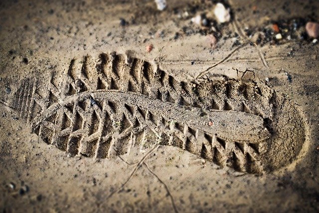 Uncover Your Roots: How to Trace Your Ancestry