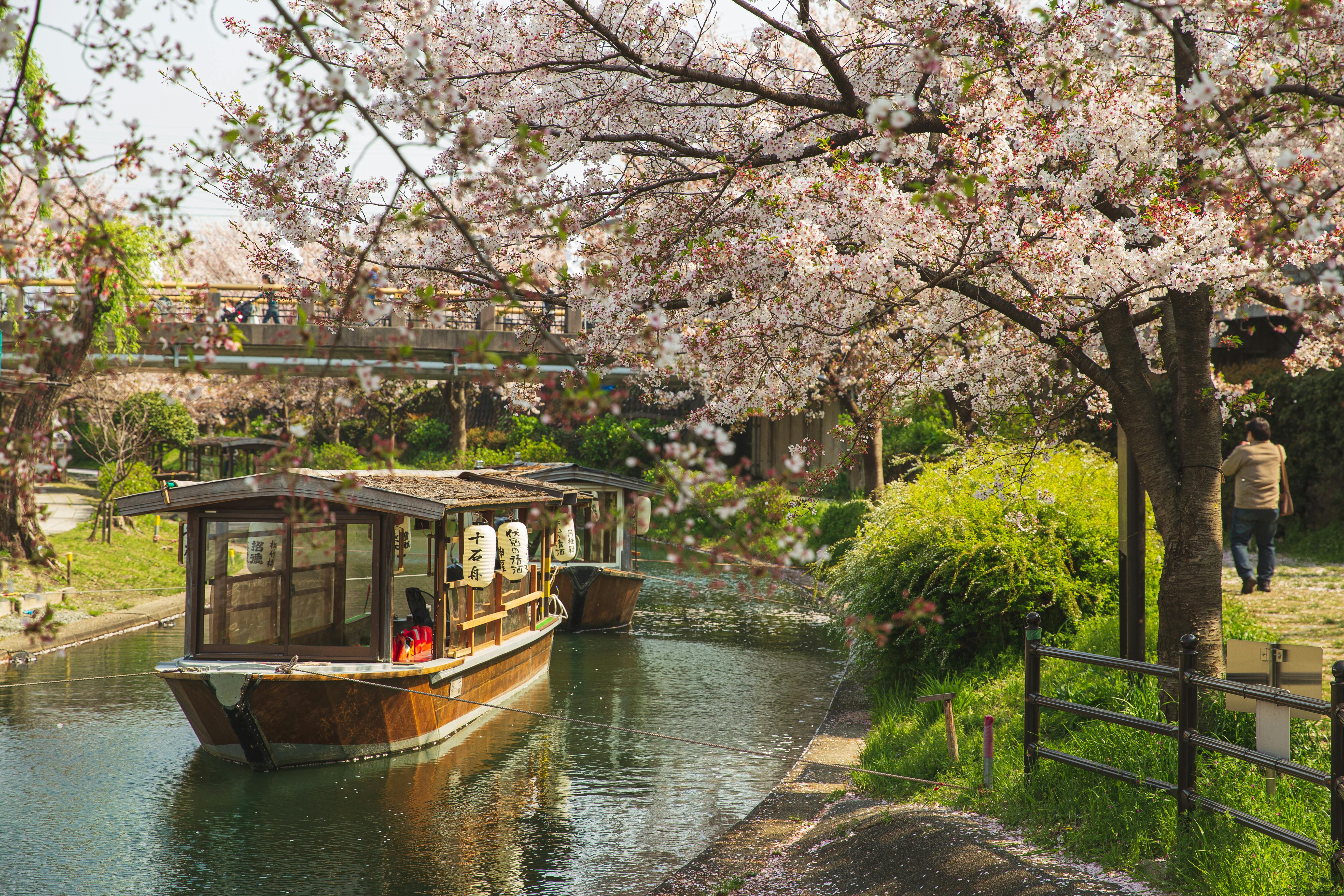 Rediscovering the Charm of Canal Boating: A Unique Travel Trend