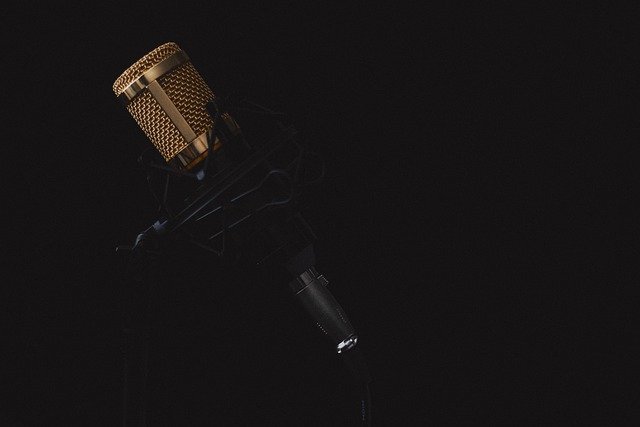 Guide pratique des métiers de la voix pour acteur et actrice
