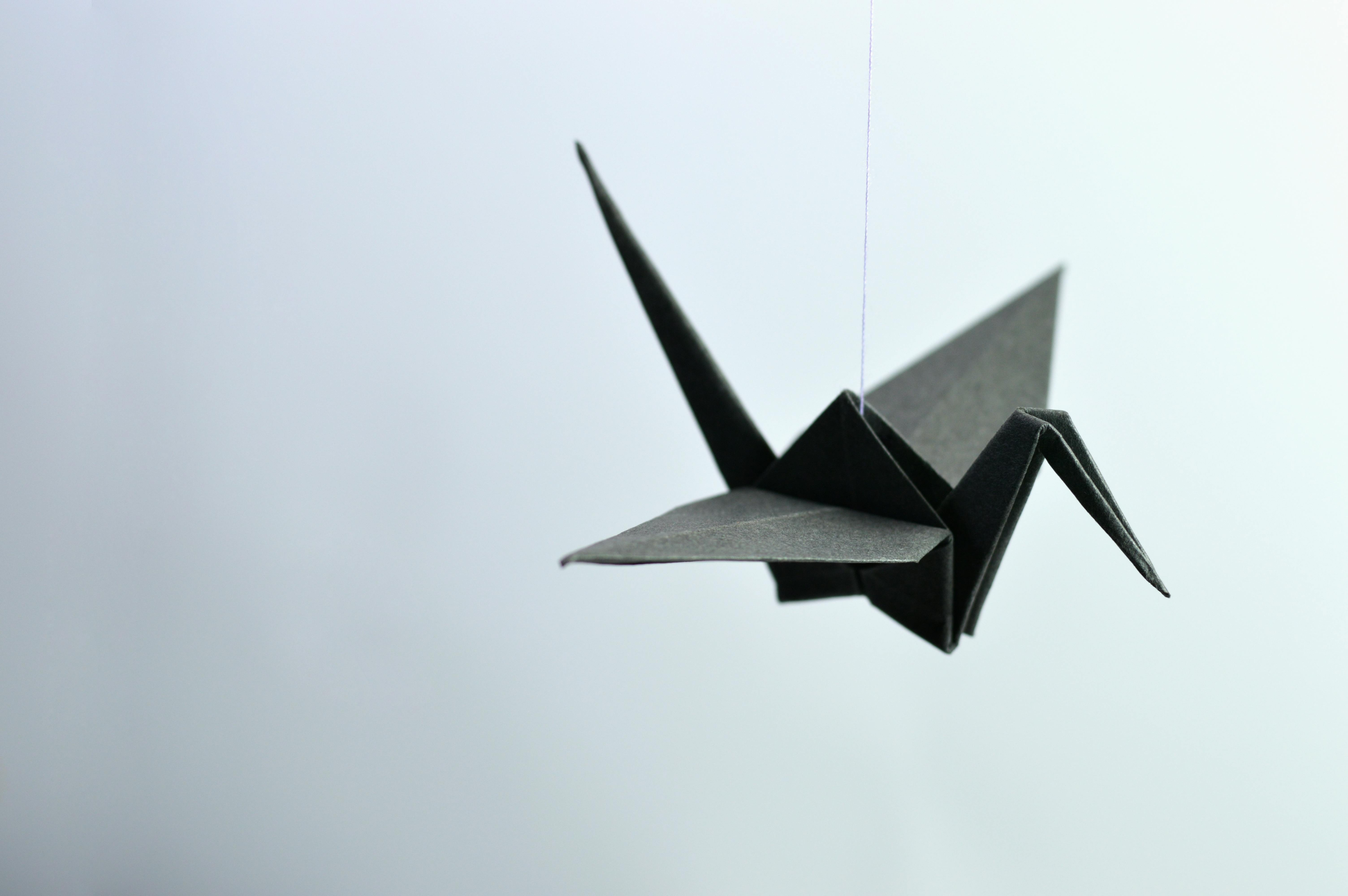 Unraveling Origami: The Artful Creases and Folds of Paper Culture