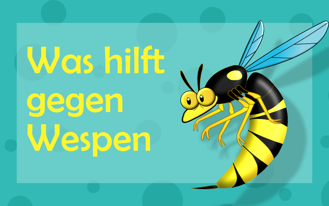 Was hilft gegen Wespen? 8 Strategien, die auch funktionieren
